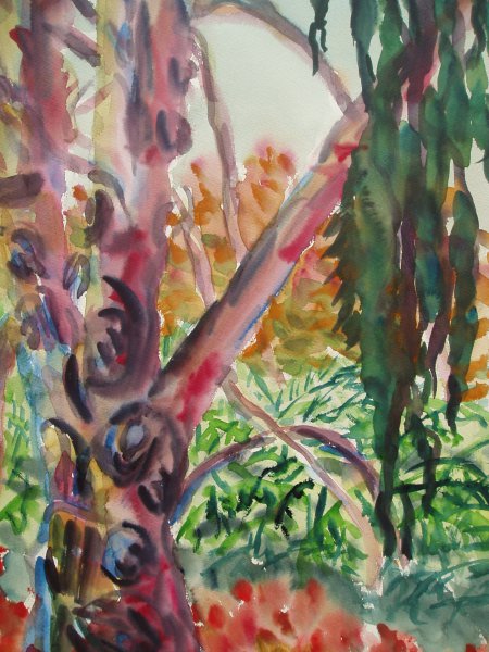 Botanischer-Garten-09-2009-Aquarell-40x60cm