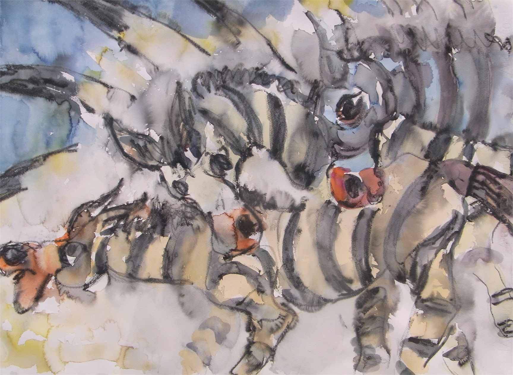 Zebras-2011-Aquarell-Kreide-76x56cm.jpg