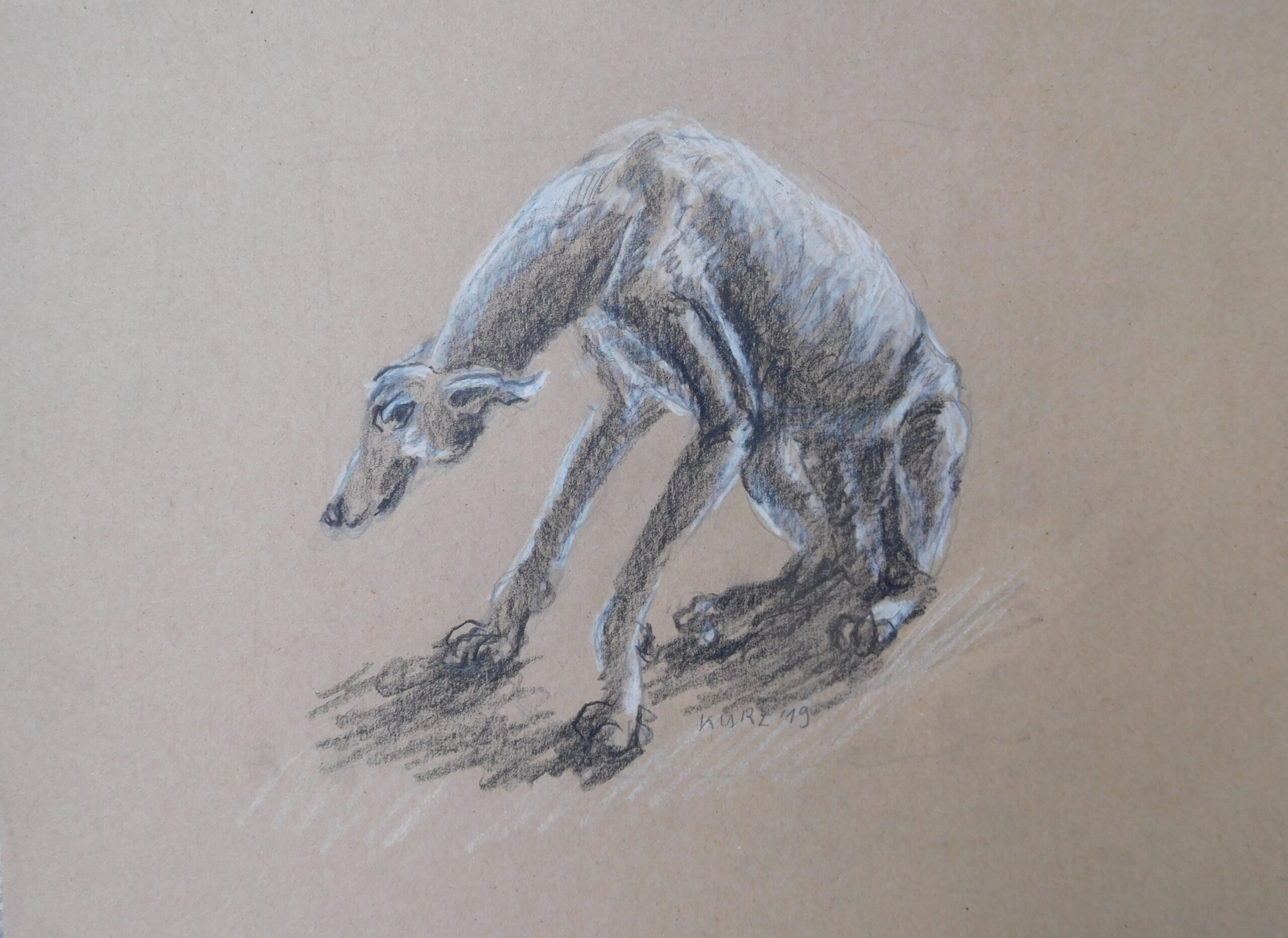 'Leidender Hund', Wachsfarben, 2019, 42x30cm